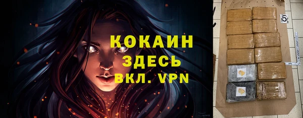 МДПВ Алзамай