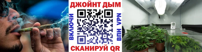 Конопля сатива  Купить  Муравленко 